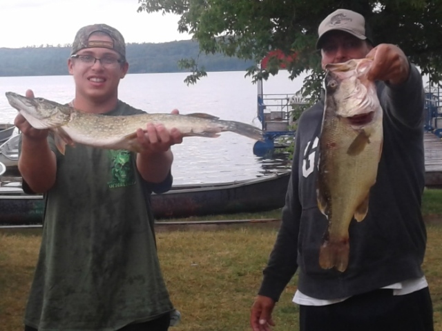 Lawrence Park Little Lake Fish 12