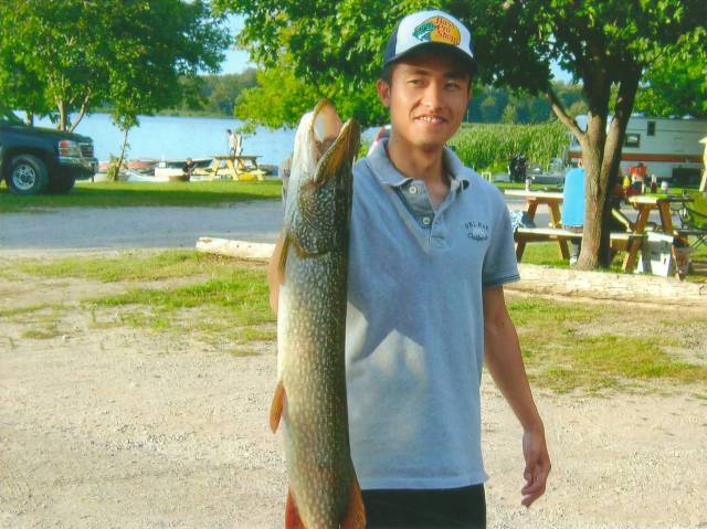 Lawrence Park Little Lake Fish 23