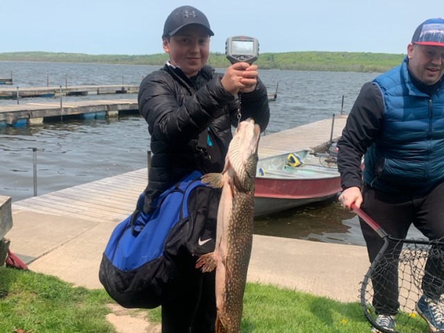 Lawrence Park Little Lake Fish 27