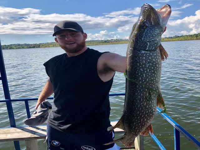 Lawrence Park Little Lake Fish 5