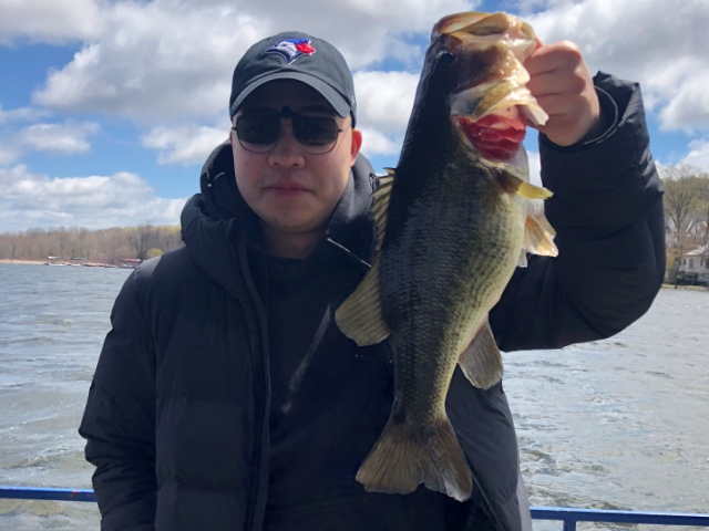 Lawrence Park Little Lake Fish 7