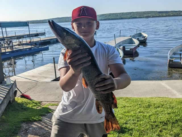 Lawrence Park Little Lake Fish 20