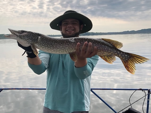 Lawrence Park Little Lake Fish 26