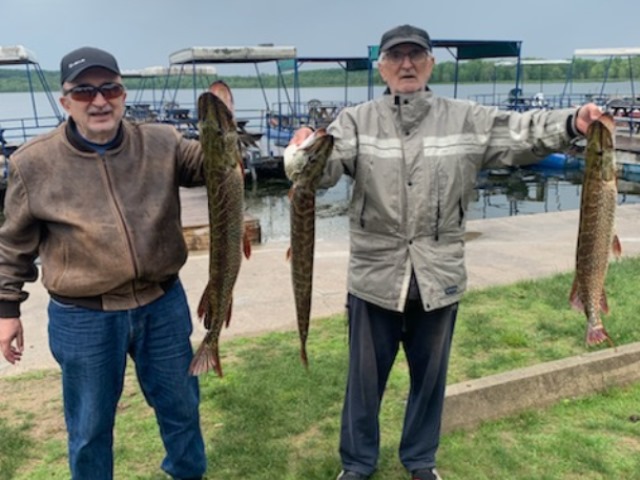 Lawrence Park Little Lake Fish 18