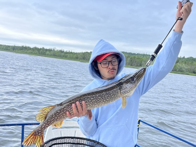 Lawrence Park Little Lake Fish 32