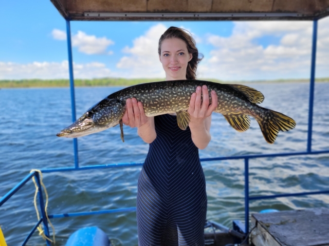 Lawrence Park Little Lake Fish 29