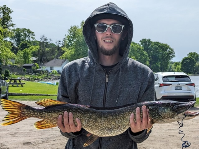 Lawrence Park Little Lake Fish 30