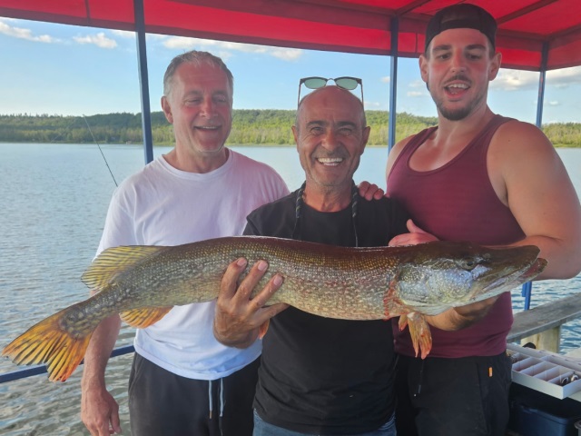 Lawrence Park Little Lake Fish 2