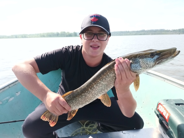 Lawrence Park Little Lake Fish 31